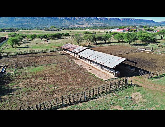 980,000M² FARM FOR SALE IN HARTEBEESFONTIEN AH